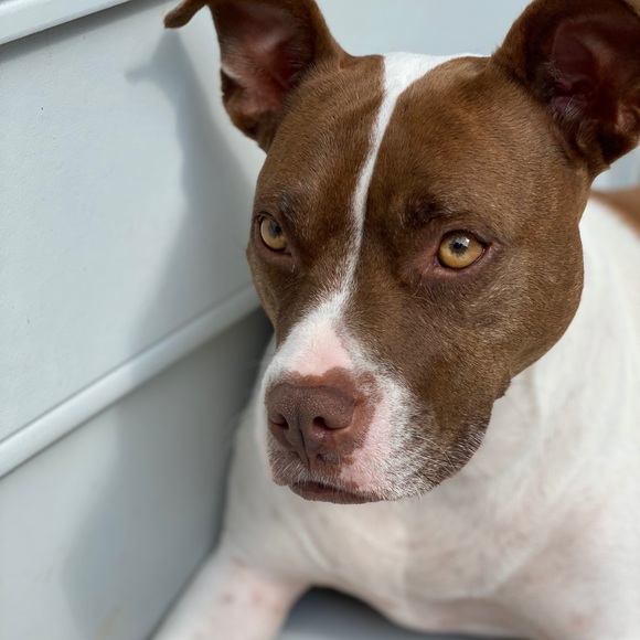 Hey, I’m Lianne! Thanks for stopping in! - Picture 14 of 16